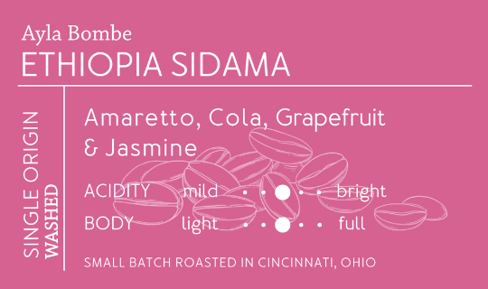 Ethiopia Sidama Washed (5lb)